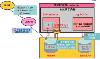 Oracle數(shù)據(jù)庫服務(wù)器IO性能瓶頸分析與實(shí)戰(zhàn)解決方案